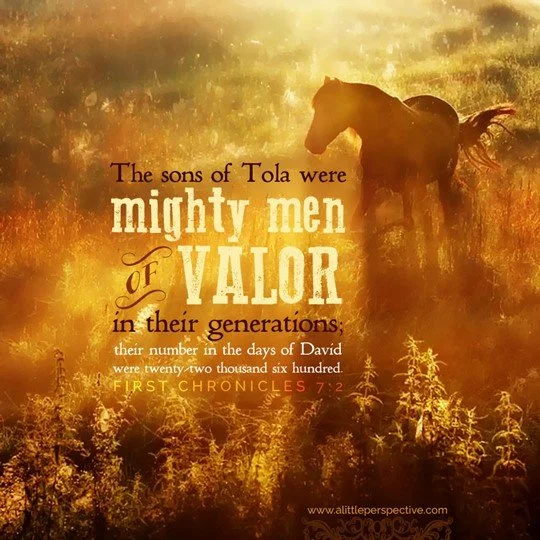 The final tribes are chronicled as well as the line of Saul