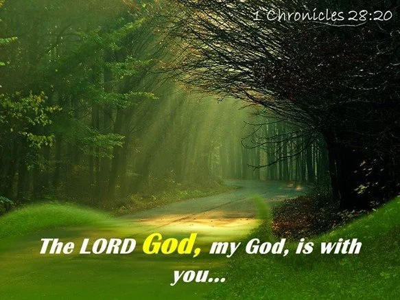 David administrates order in the kingdom