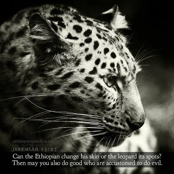 A leopard's spots and Judah's heart are fixed