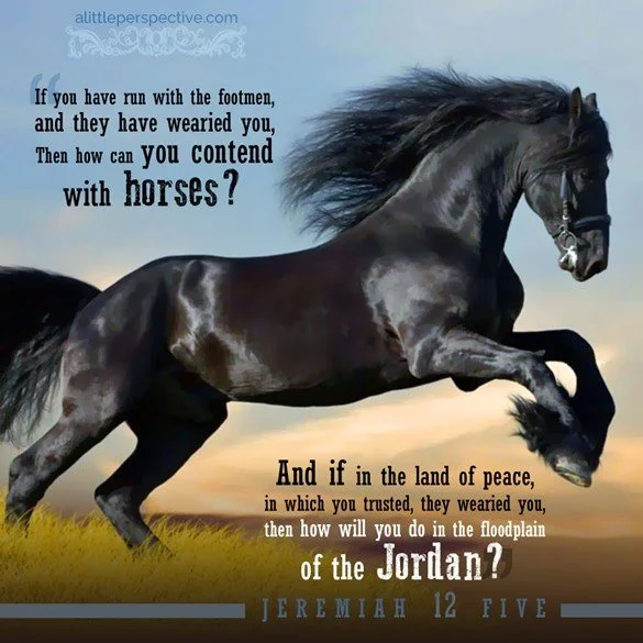 Why do the wicked prosper?