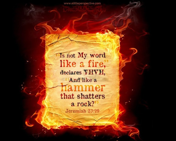 Mind my words