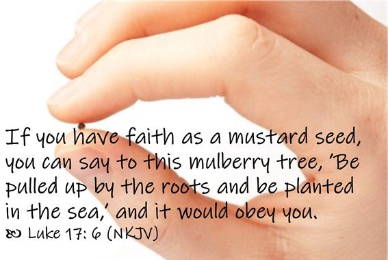 A mustard seed of faith