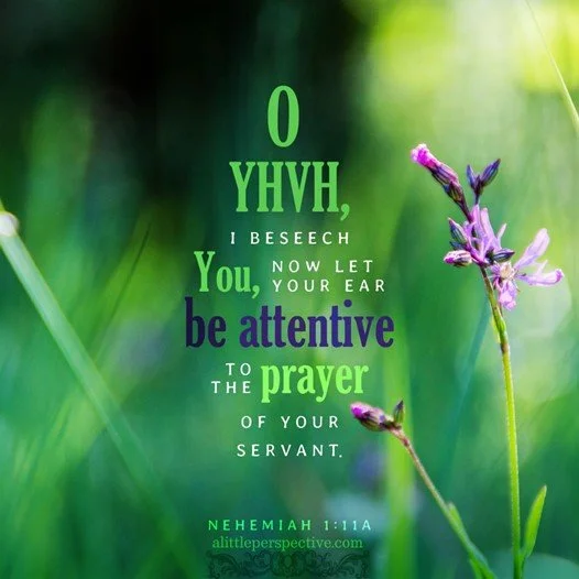 Nehemiah prepares to go