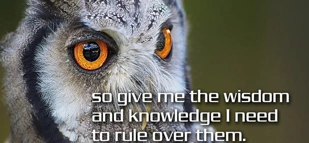 Solomon reigns, asks for wisdom