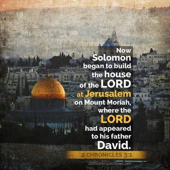 The temple is fitted out by Solomon