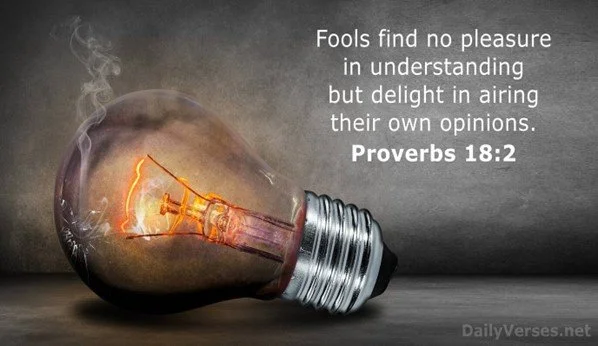 Fools and their folly