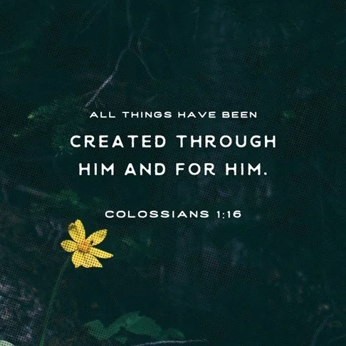 He is the image of the invisible God