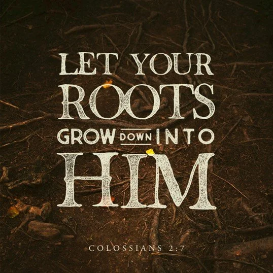 Let your roots grow down into Christ