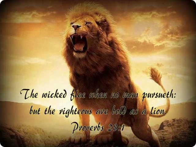 The bold and the weak, the wise and wicked