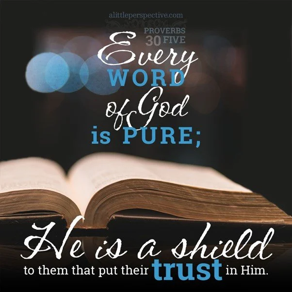 I am stupid but I have a mighty Savior