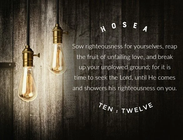 Sow in righteousness