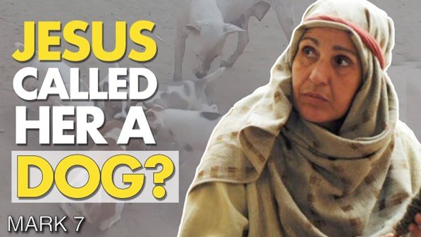 Even dogs can get saved!