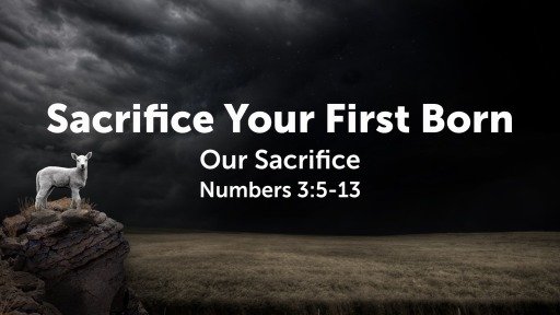 Redemption price to receive the rights of the firstborn