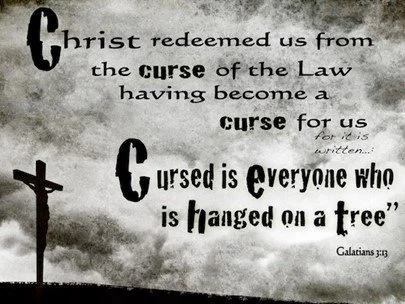The just shall live by faith
