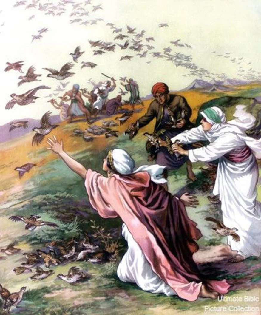 Israel's fight between their faith and the flesh