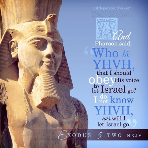 Moses begins to confront Pharoah