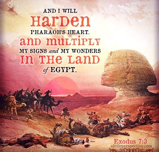 The plagues begin in Egypt