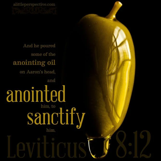 The offering for Aaron the Priest and his sons