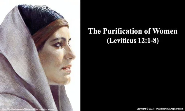Purification laws