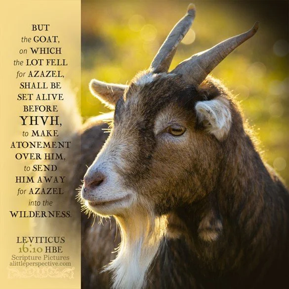 The "scape-goat"