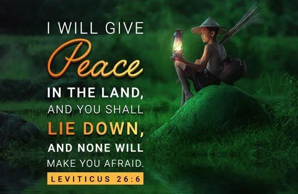 Laws about obedience and vows