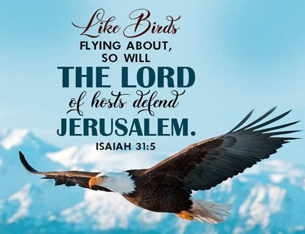 Messiah will establish His kingdom