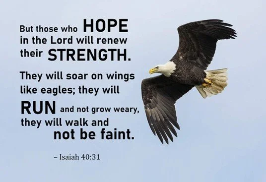 Israel is protected they will soar on eagles wings