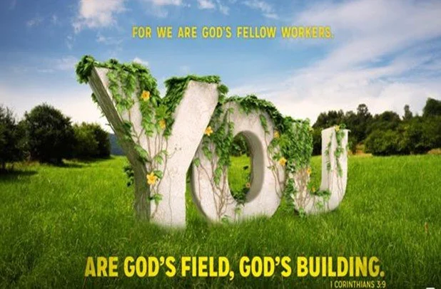 Be unified as the Lord's building