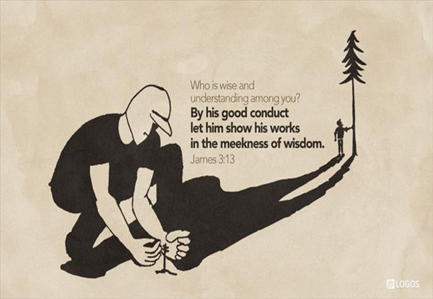 A harvest of righteousness by sowing peace
