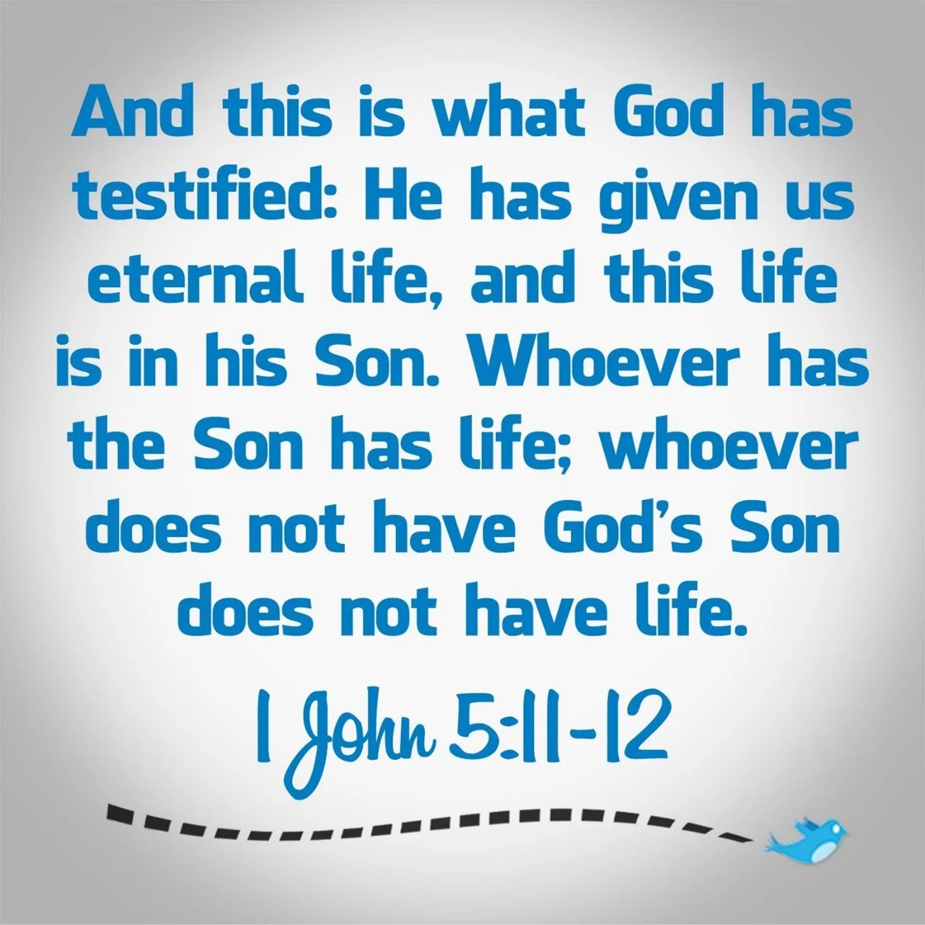 He who has the Son has life