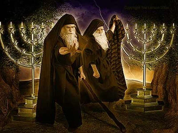 The 2 witnesses