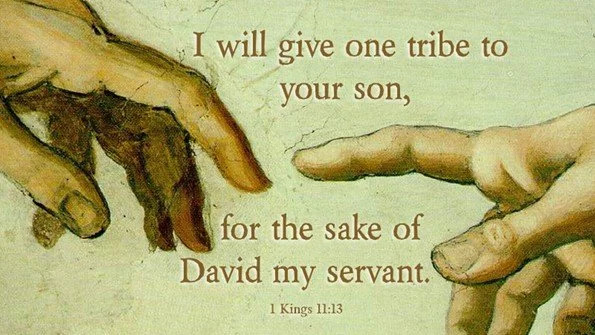 Solomon falls away and his sin is a fool