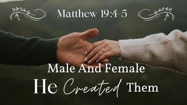 He created them male and female