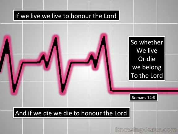 Whatever you do, do it for His glory