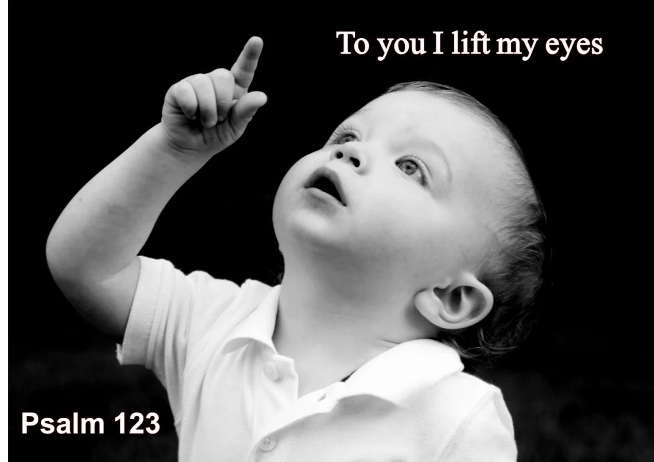 The Songs of Ascent continue...