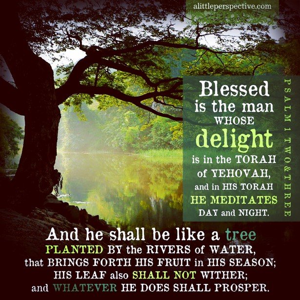 Blessed is the man...