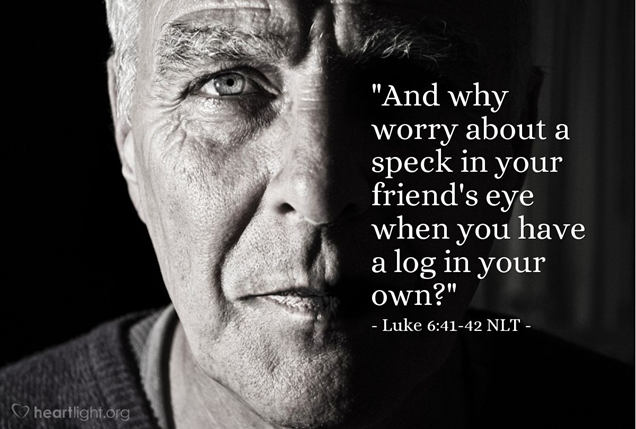 The log in your eye