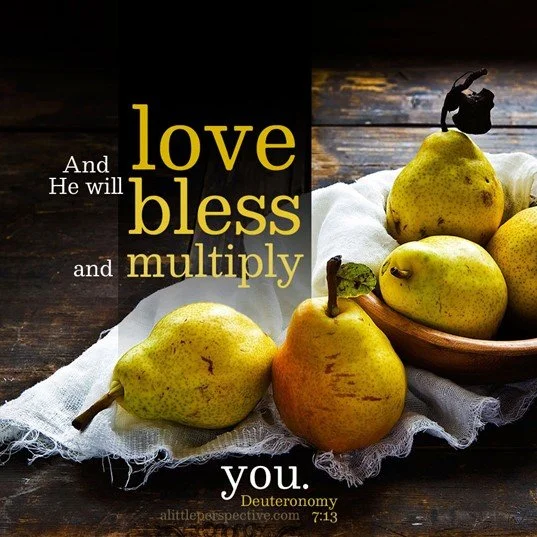 Obedience brings blessing