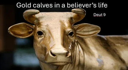 Gold calves in the life of a beleiver