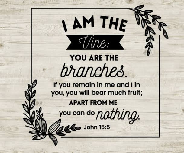 I am the vine you are the branches