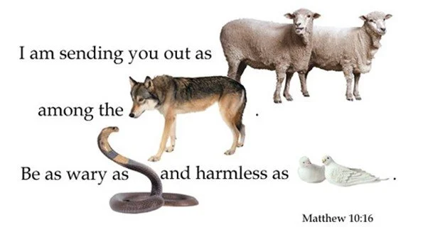 The twelve are instructed in ministry