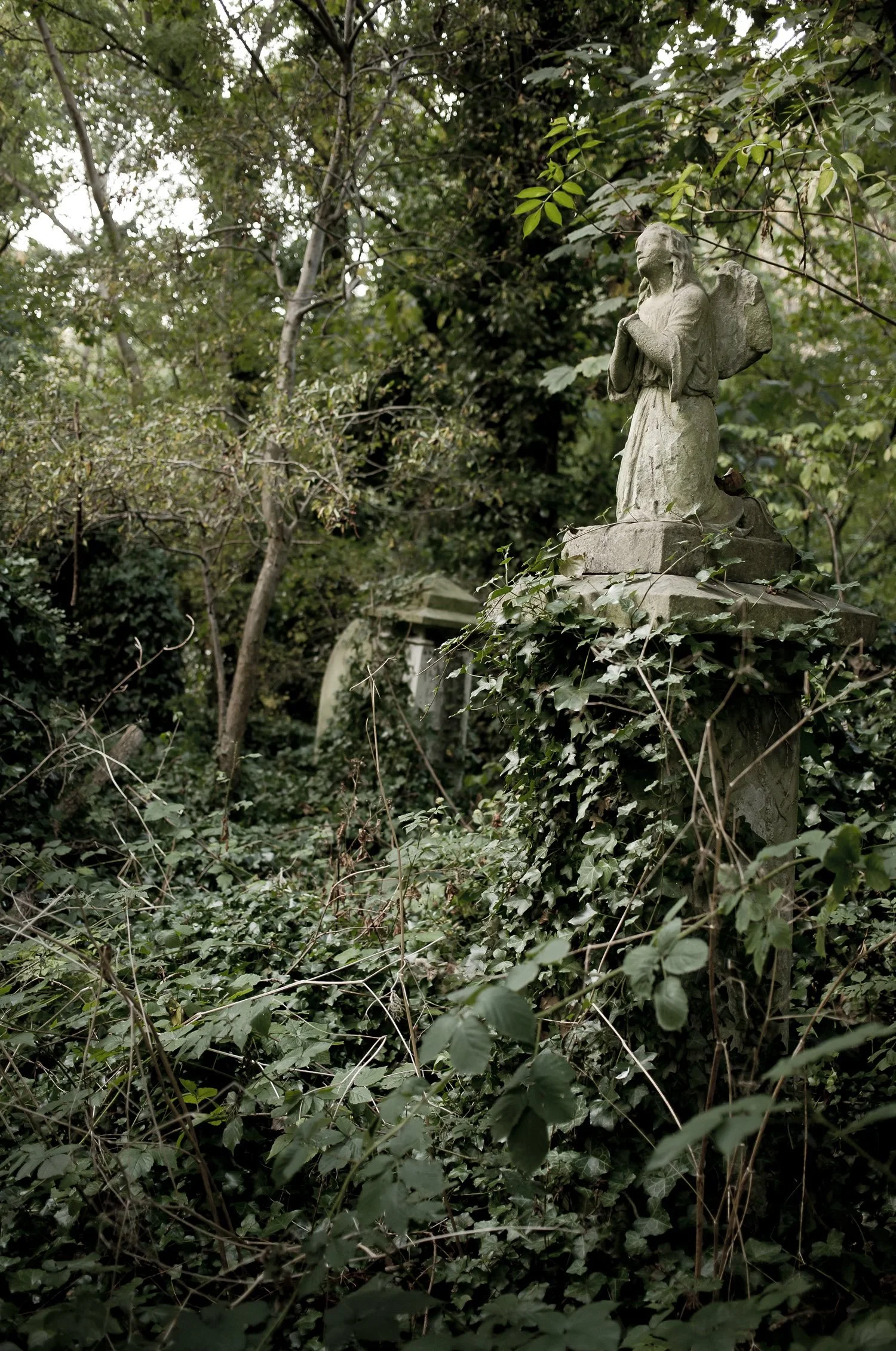 Balade photo – Abney Park Cemetery