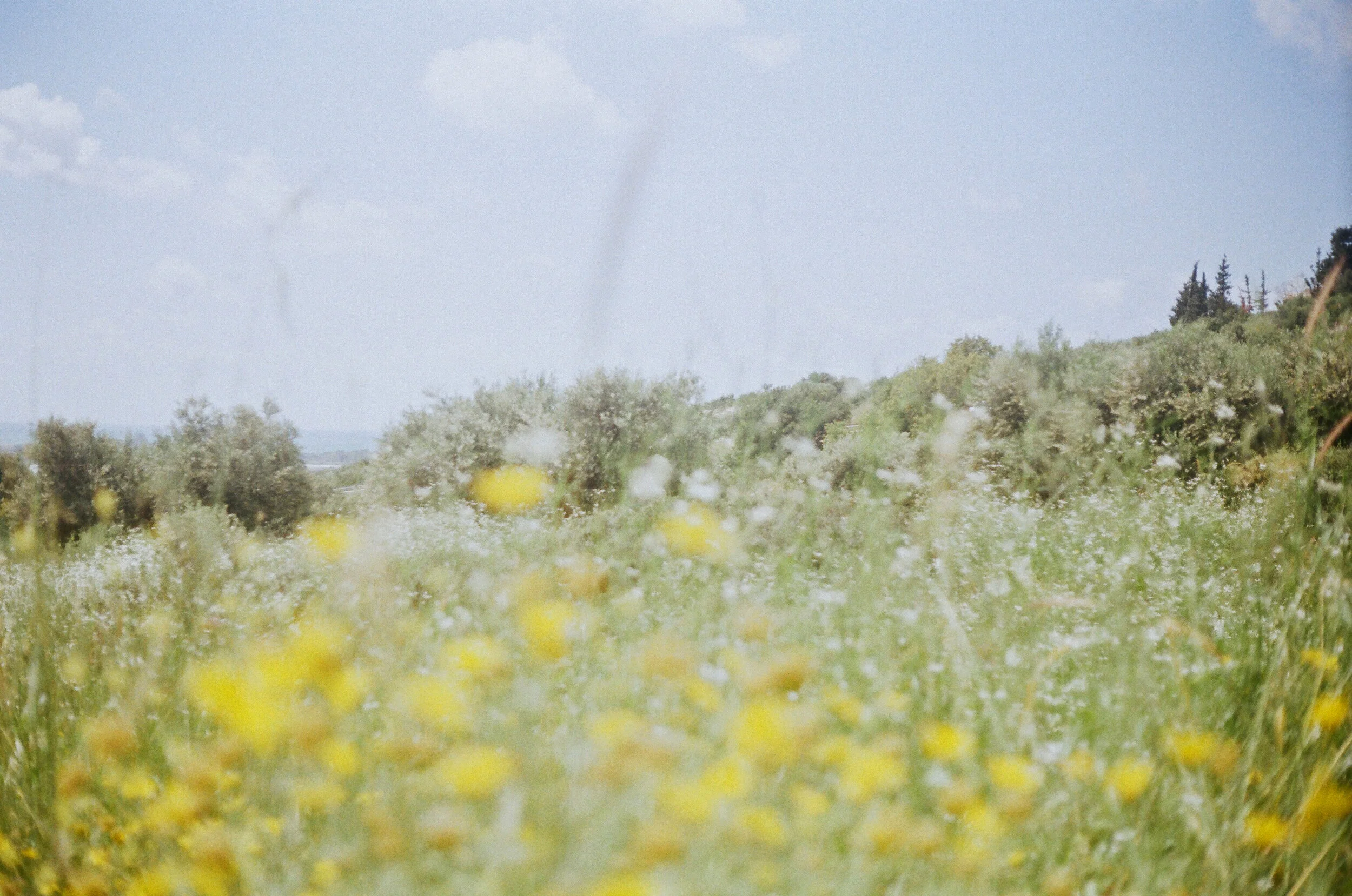06210028e001.jpg