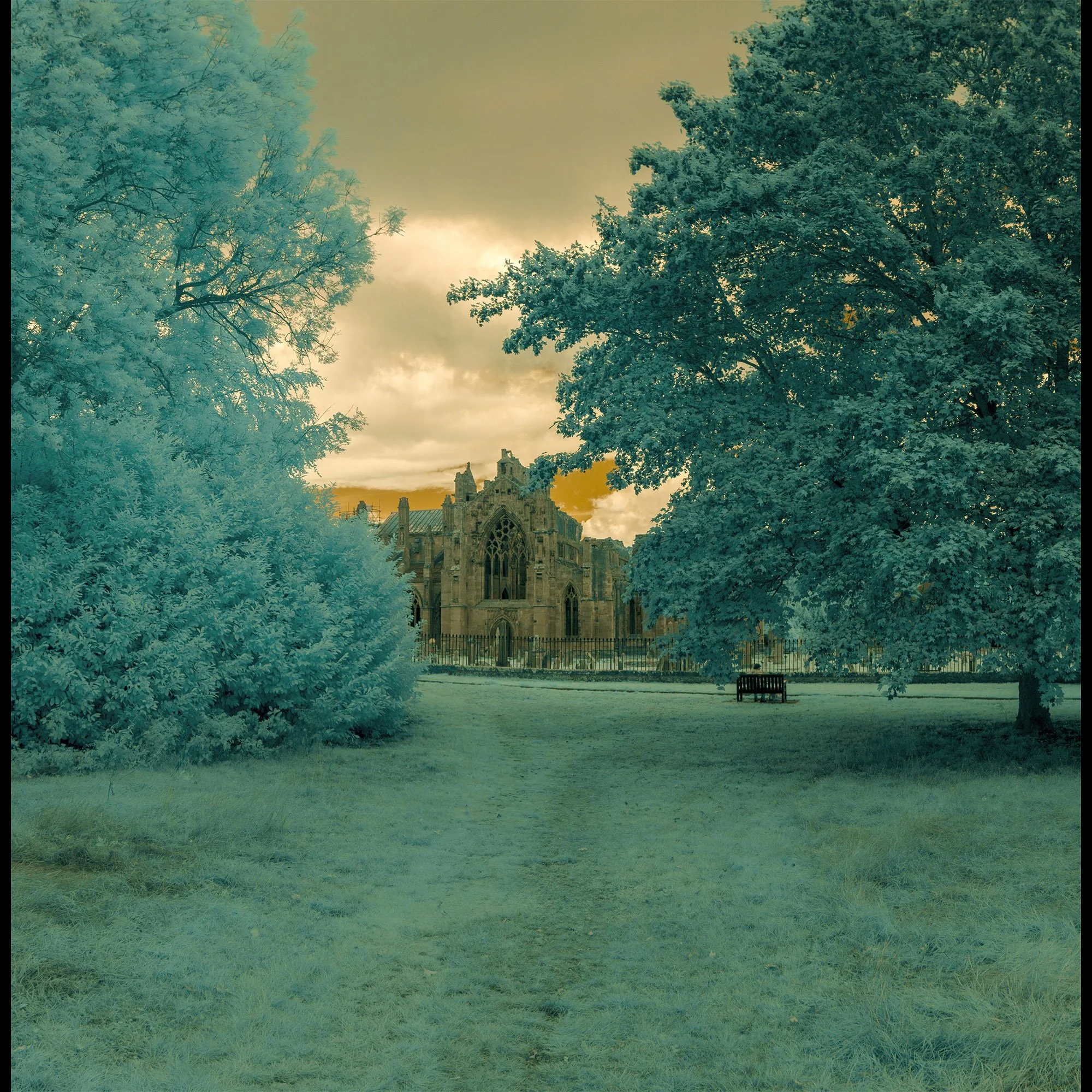 Melrose Abbey