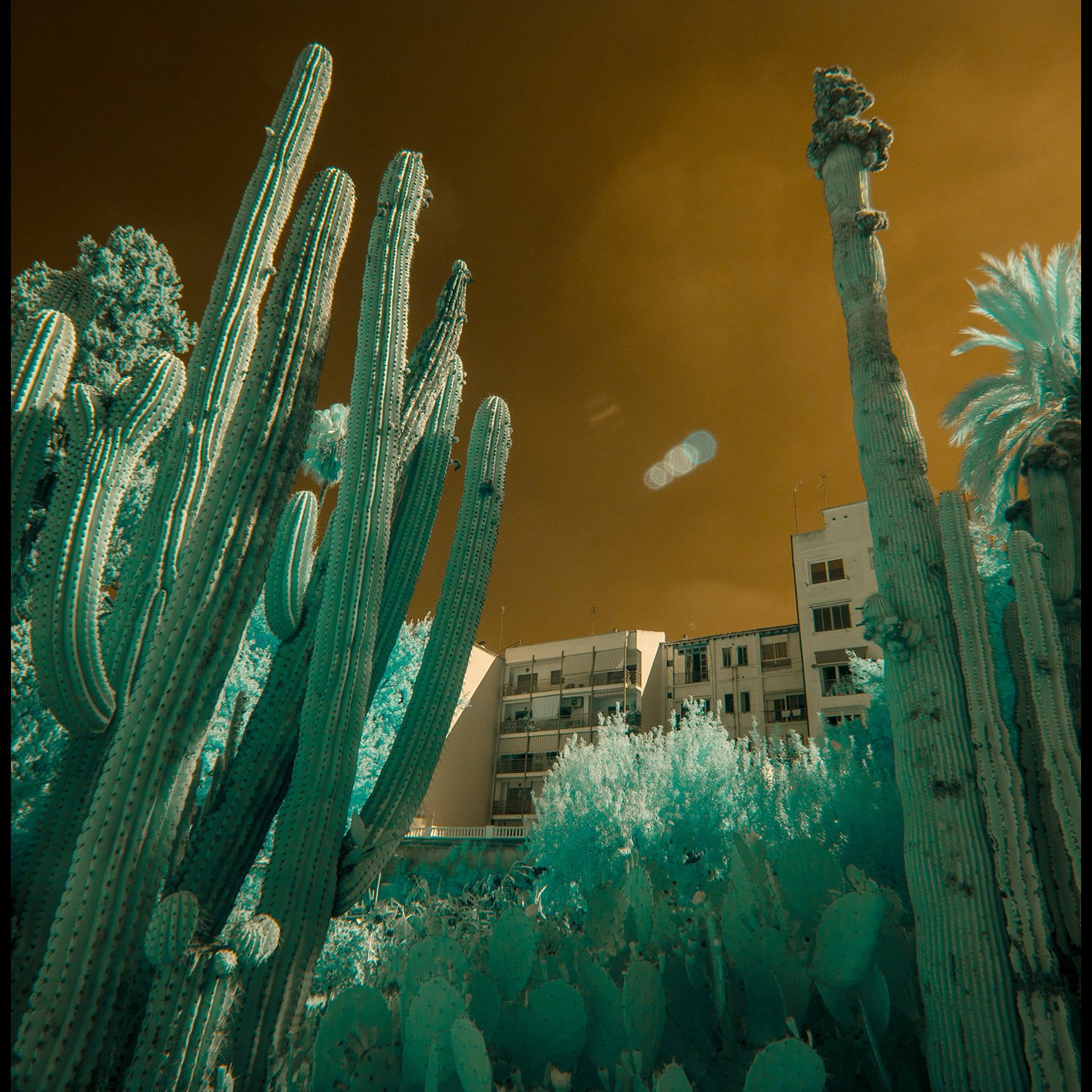 Valencia