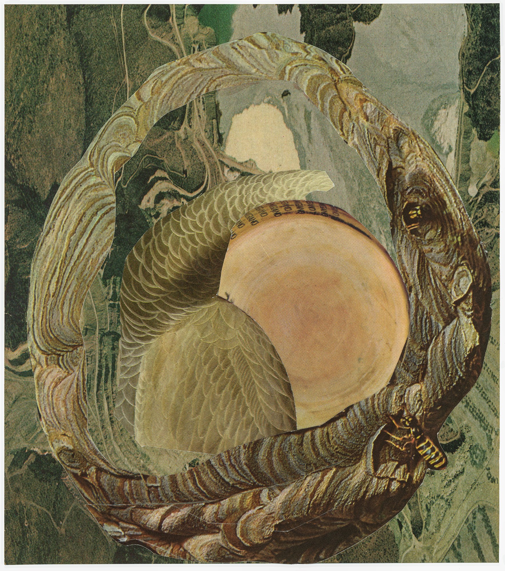 D2-Brian Paeper, Blooming, 2025, Collage, 7 x 6.125 inches-WEB.jpg