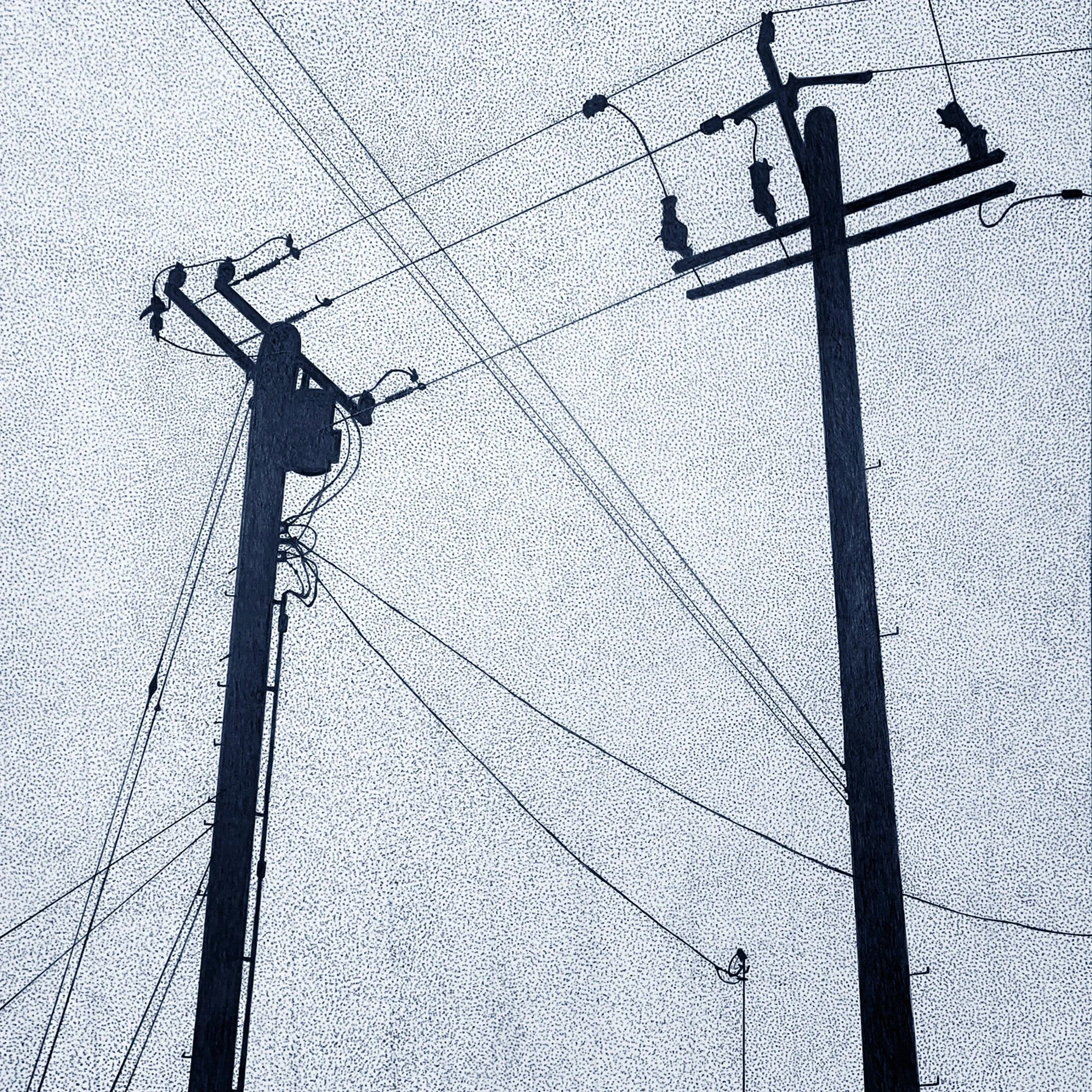 Poles, Walkers and a Black Sheep