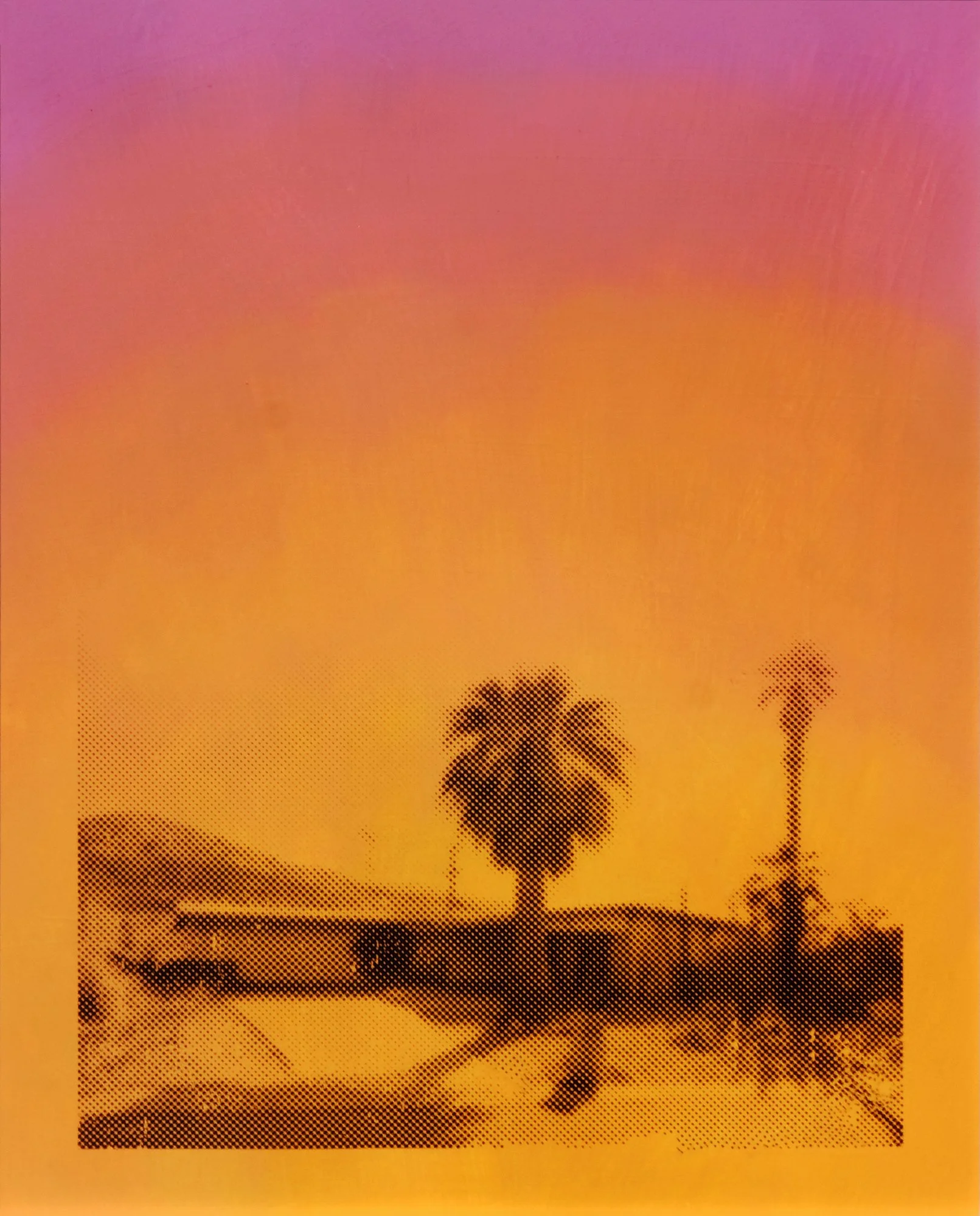 American Dream 1 2026 20x16 WEB 2.jpg