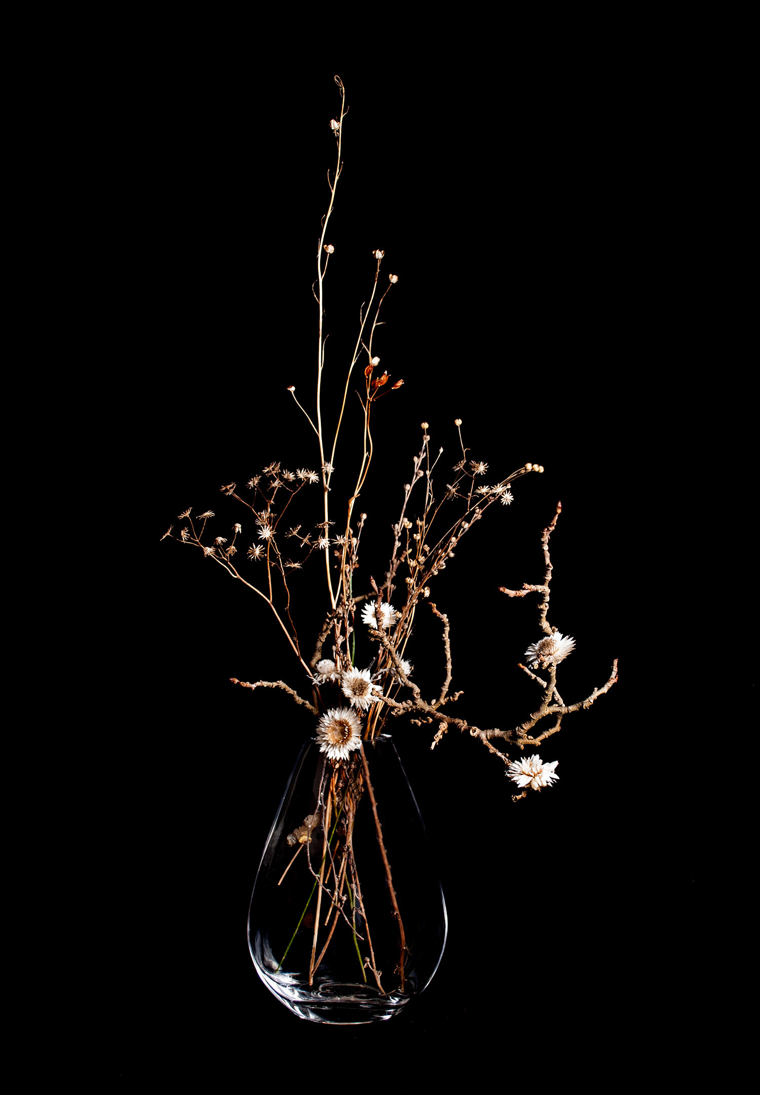 Dead Flowers 5