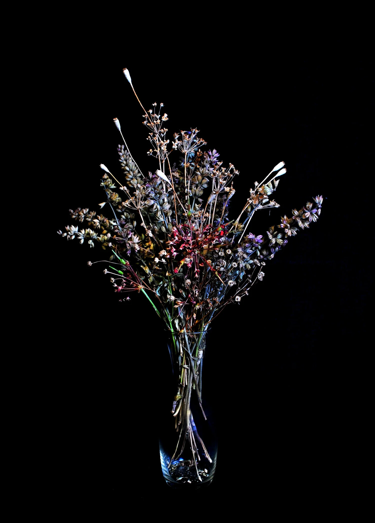Dead Flowers 2